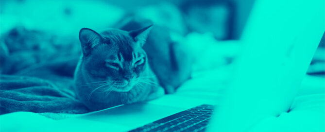 New-ToddyCat-Hacker-Group-on-Experts-Radar-After-Targeting-MS