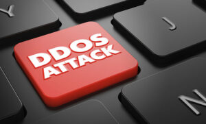 malware-used-to-launch-ddos-attacks-showcase_image-9-a-8656