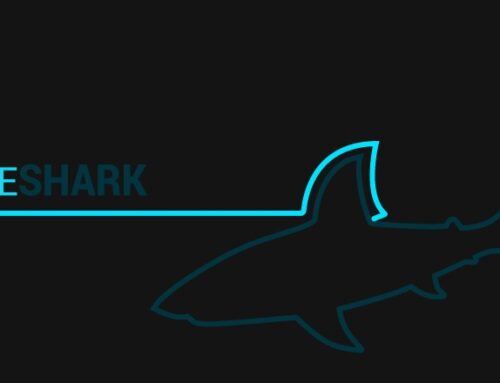 Wireshark 4.2.4 is now available: What’s New!
