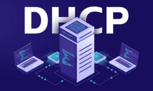 dhcp