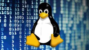 linux-bug