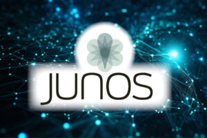 New-Juniper-Junos-OS-Flaws-Expose-Devices-to-Remote-Attacks--Patch-Now