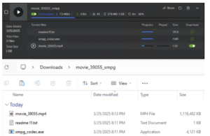 Screenshot-2025-03-28-113031