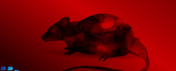 romcom2-1200x630px-social